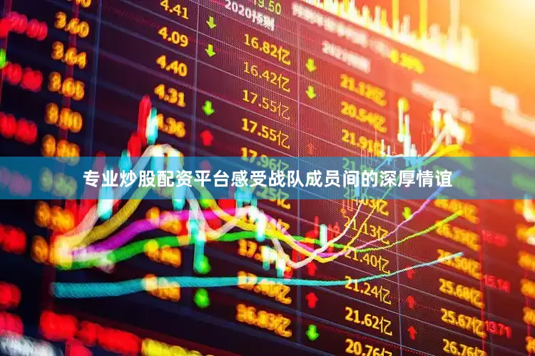 专业炒股配资平台感受战队成员间的深厚情谊