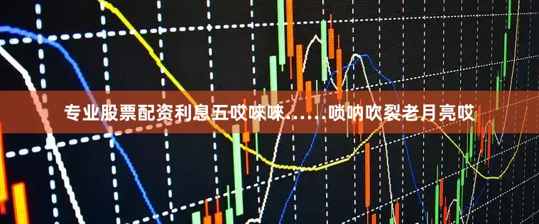 专业股票配资利息五哎唻唻……唢呐吹裂老月亮哎