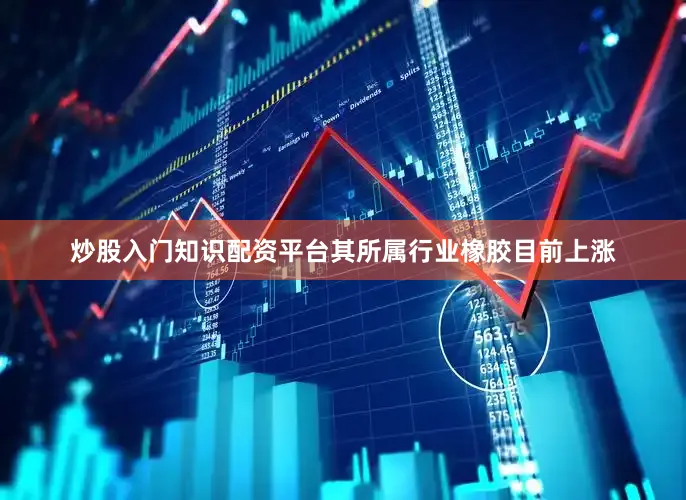 炒股入门知识配资平台其所属行业橡胶目前上涨