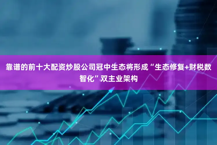 靠谱的前十大配资炒股公司冠中生态将形成“生态修复+财税数智化”双主业架构