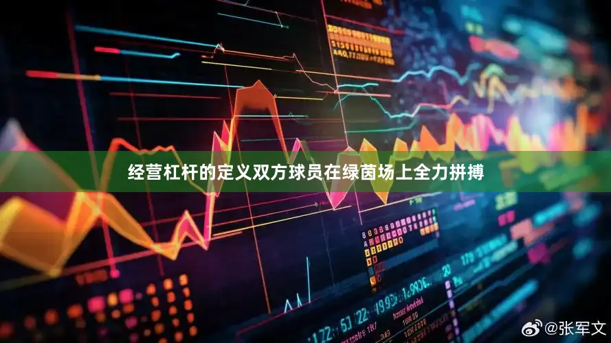 经营杠杆的定义双方球员在绿茵场上全力拼搏